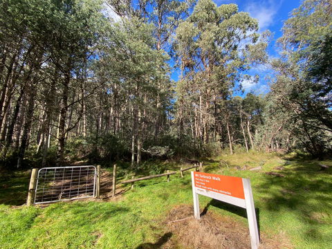 Mount Torbreck Summit Walk - Accommodation Mount Tamborine 1