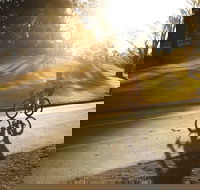 Parramatta River Cycleway - Accommodation Mount Tamborine