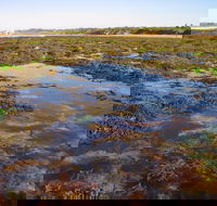 Point Danger Marine Sanctuary - Accommodation Mount Tamborine