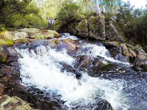 Polblue Falls - Accommodation Mount Tamborine 0