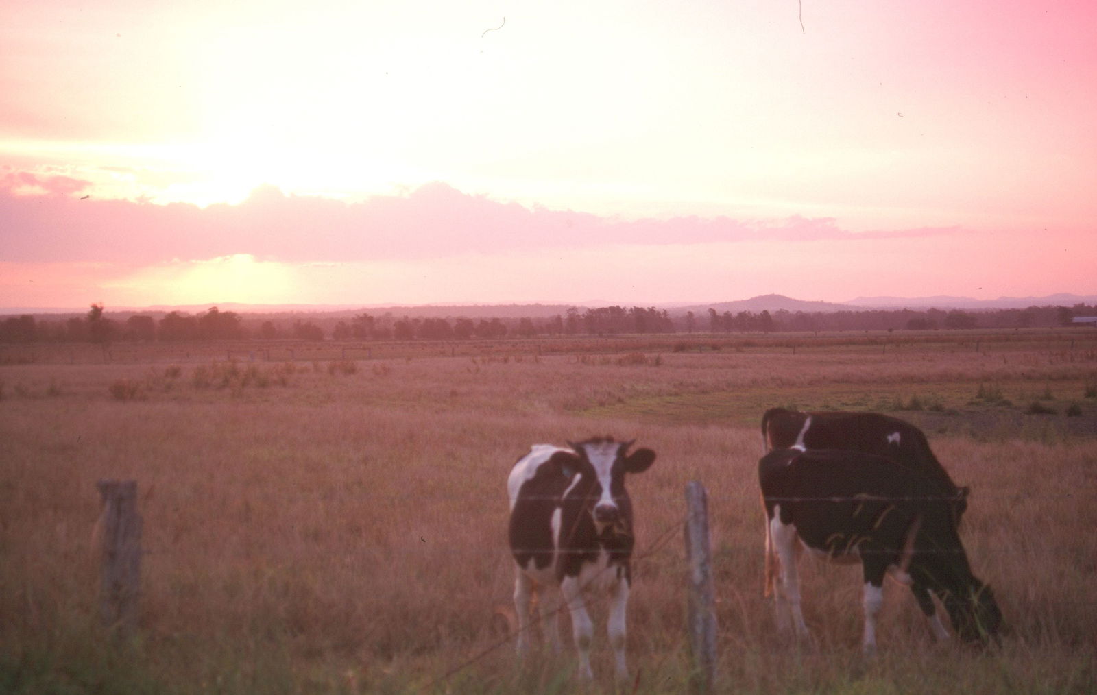 Pyree NSW Accommodation Mount Tamborine