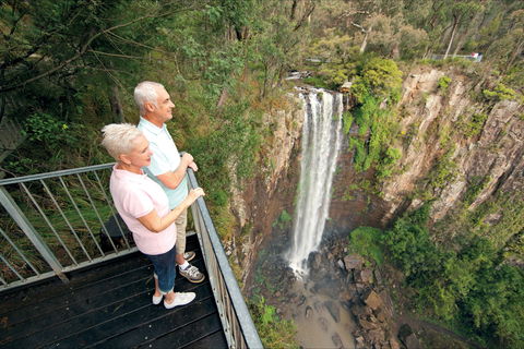 Queen Mary Falls Circuit, Main Range National Park - Accommodation Mount Tamborine 1