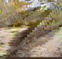 Red Rocks trig walking track - Accommodation Mount Tamborine