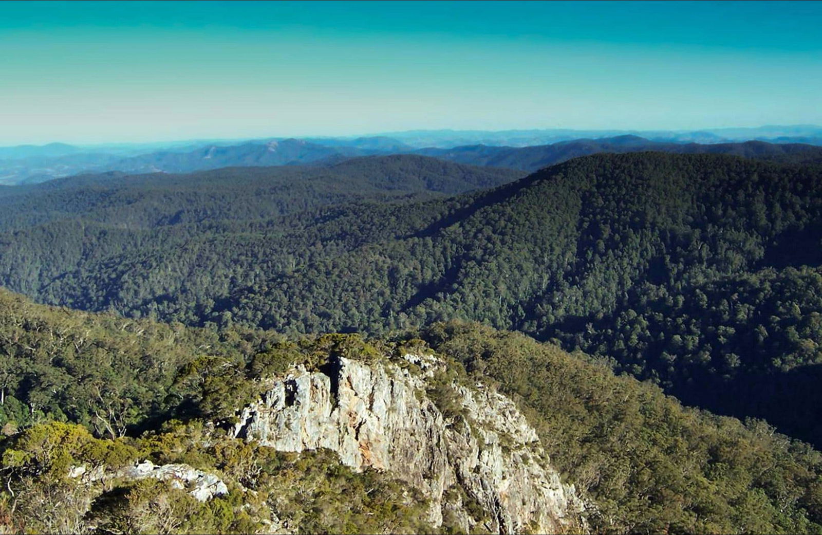 Bulga Forest NSW Accommodation Mount Tamborine