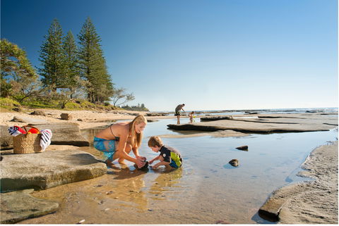 Shelly Beach - Accommodation Mount Tamborine 0