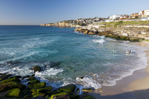 Tamarama Beach - Accommodation Mount Tamborine 1