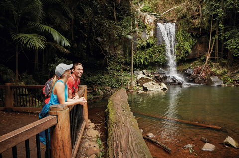 Tamborine National Park - Accommodation Mount Tamborine 1
