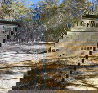 The Pines Conservation Reserve - Accommodation Mount Tamborine