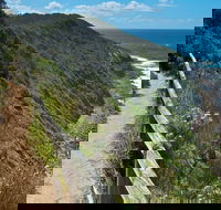 The Coast Walking Track - Accommodation Mount Tamborine