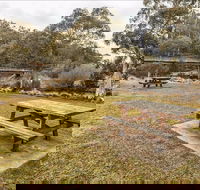 Thredbo River picnic area - Accommodation Mount Tamborine