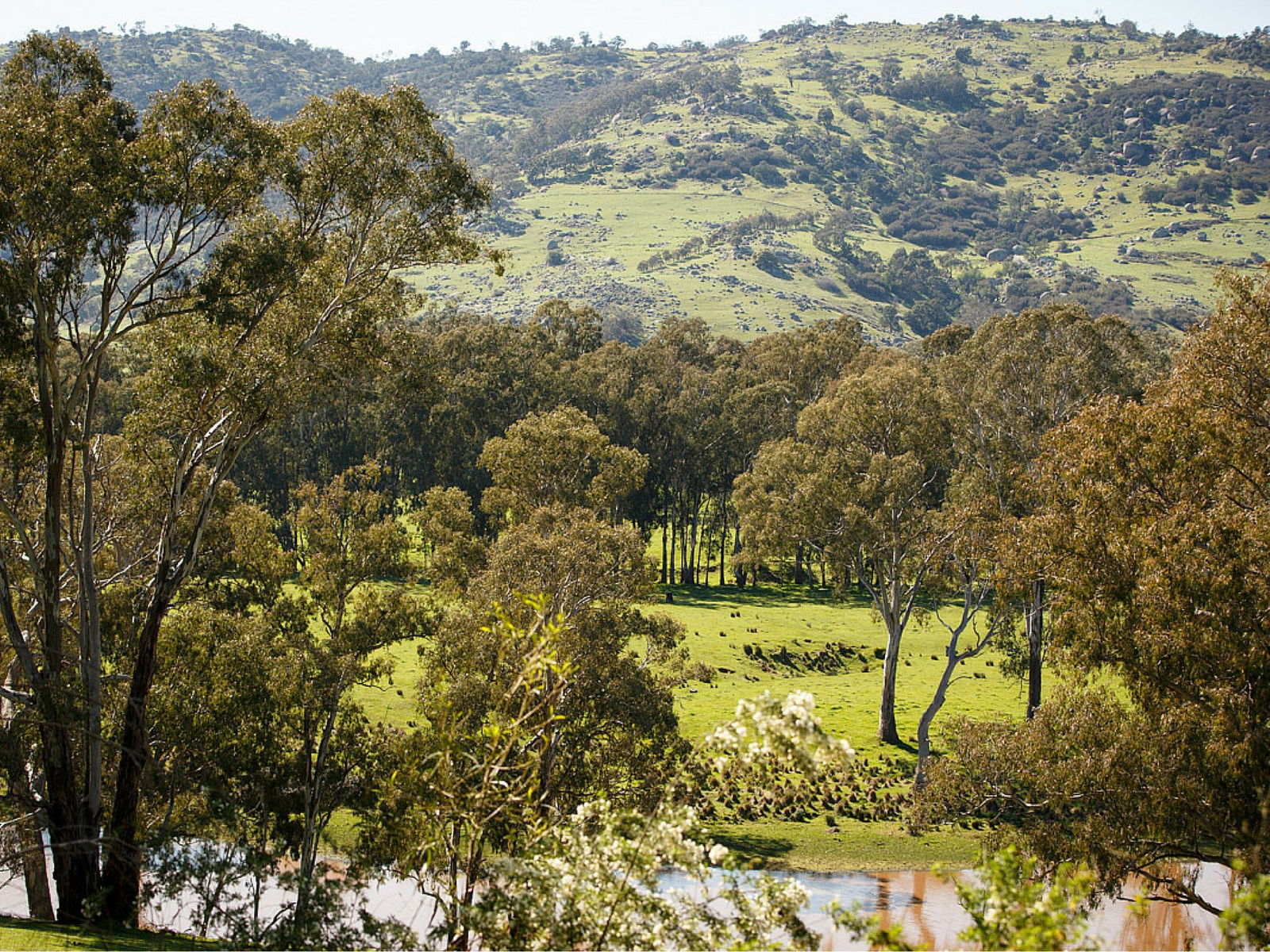 Trawool VIC Accommodation Mount Tamborine