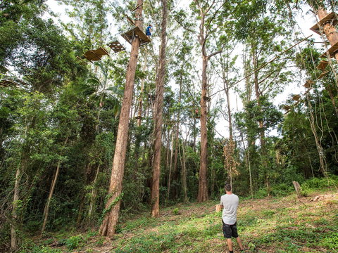 TreeTop Challenge - Sunshine Coast - Accommodation Mount Tamborine 1