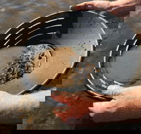 Tuena Panning for Gold - Accommodation Mount Tamborine