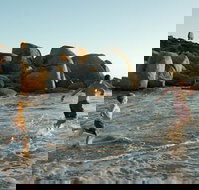 Venus Bay - Accommodation Mount Tamborine