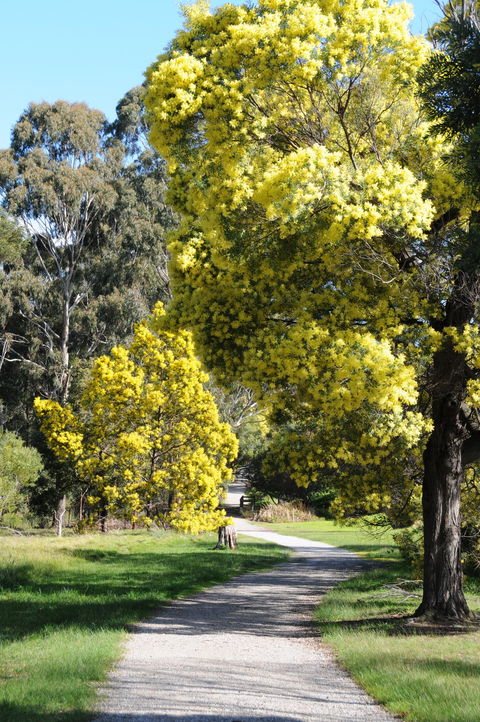 Wattle Park - Accommodation Mount Tamborine 0
