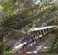 Awaba Bay Foreshore Walk - Accommodation Mount Tamborine