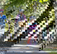 Bright to Wandiligong 5.5km - Accommodation Mount Tamborine