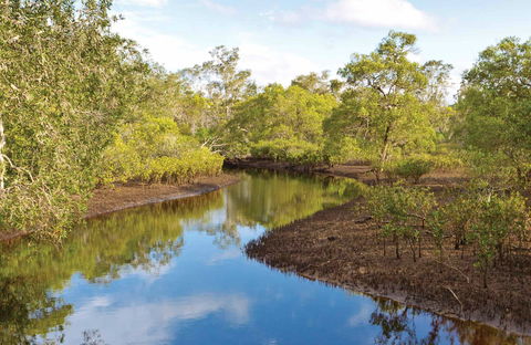 Canoe Evans River Paddle Route - Accommodation Mount Tamborine 0
