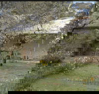 Castlemaine Diggings National Heritage Park - Accommodation Mount Tamborine