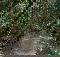 Cascades Walk - Accommodation Mount Tamborine