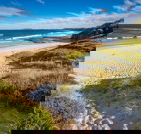 Coomee Nulunga Beach - Accommodation Mount Tamborine