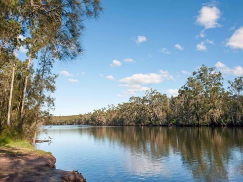 Corramy Regional Park - Accommodation Mount Tamborine 0