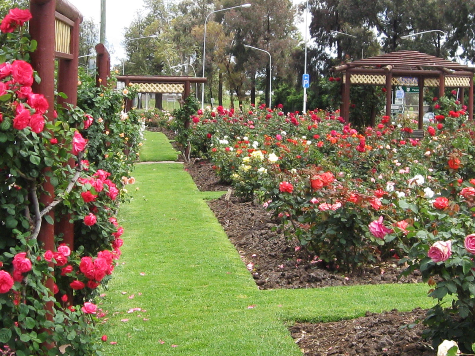 Mount Collins NSW Accommodation Mount Tamborine