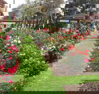 Cowra Rose Garden - Accommodation Mount Tamborine