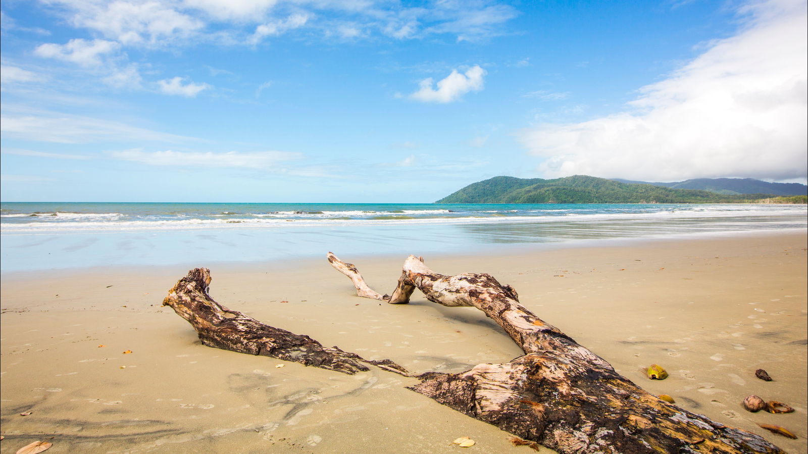 Cow Bay QLD Accommodation Mount Tamborine