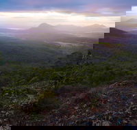 Cunninghams Gap and Spicers Gap Main Range National Park - Accommodation Mount Tamborine