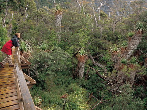 Dove Lake - Accommodation Mount Tamborine 1