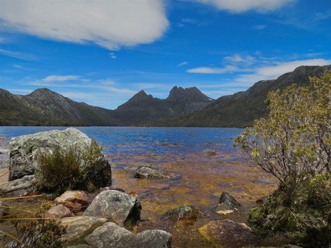 Dove Lake - Accommodation Mount Tamborine 2