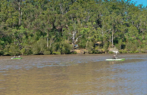 Fitzpatrick Park - Accommodation Mount Tamborine 0
