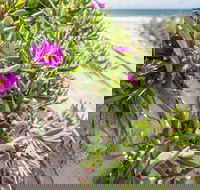 Fort Bribie - Accommodation Mount Tamborine