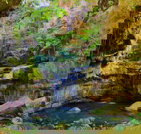 Glimpse of the Outback 5 Day Tour - Roma and Surrounds - Accommodation Mount Tamborine