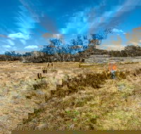 Goldseekers track - Accommodation Mount Tamborine