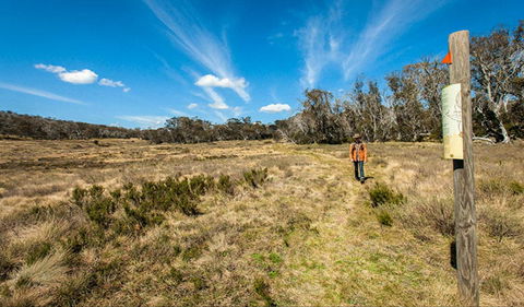 Goldseekers Track - Accommodation Mount Tamborine 0