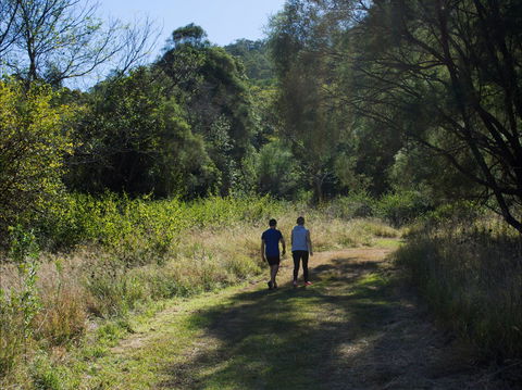 Goolman Lookout Via Rocky Knoll Lookout Trail - Accommodation Mount Tamborine 2