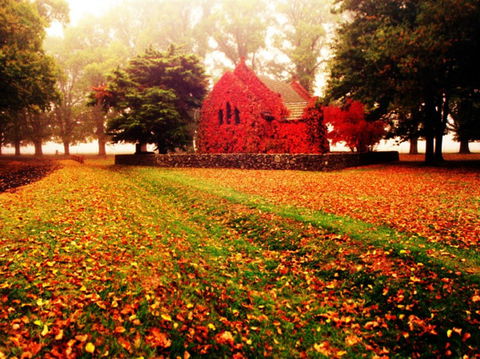 Gostwyck Chapel - Accommodation Mount Tamborine 0
