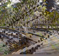Governor Summit Corrunbral Borawah Walking Track - Accommodation Mount Tamborine