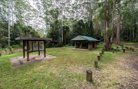 Gur-um-bee Picnic Area - Accommodation Mount Tamborine 0