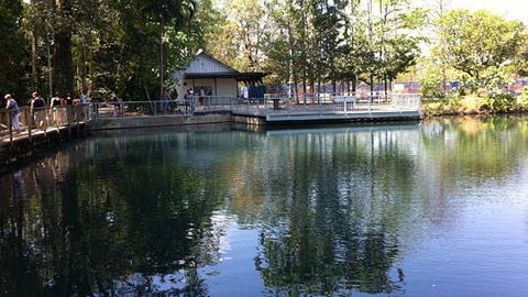 Howard Springs Nature Park - Accommodation Mount Tamborine 1