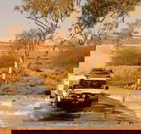Innamincka Regional Reserve - Accommodation Mount Tamborine