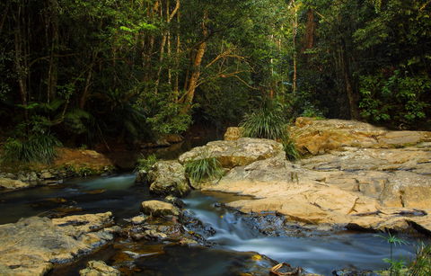 Jumrum Creek Walk, Jumrum Creek Conservation Park - Accommodation Mount Tamborine 0