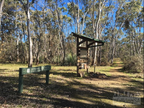 Kaiserstuhl Conservation Park - Accommodation Mount Tamborine 0