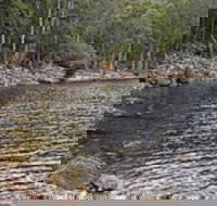 Lake Rowallan - Accommodation Mount Tamborine
