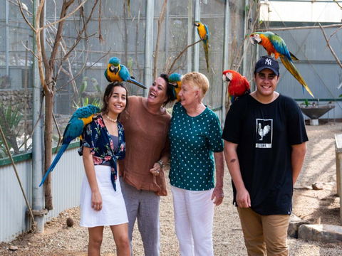 Maleny Botanic Gardens And Bird World - Accommodation Mount Tamborine 0