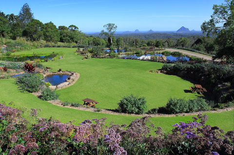 Maleny Botanic Gardens And Bird World - Accommodation Mount Tamborine 2