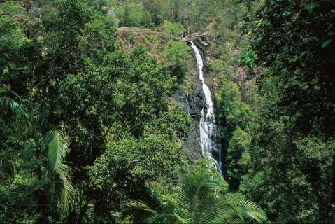 Mapleton Falls National Park - Accommodation Mount Tamborine 0