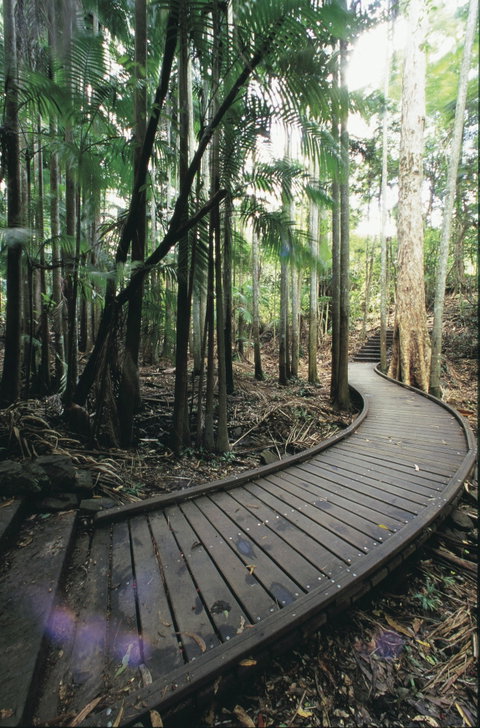Mapleton Falls National Park - Accommodation Mount Tamborine 1
